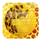 Hive Bee Keyboard icône