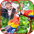 Birds Photo Frame - Love Birds Photo Editor New