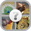 Guess the Animal! APK