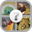 Guess the Animal! aplikacja