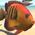 BettaFishFlaringTrainer icon