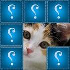 Guess photos. ikona