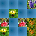 Flowers Hard Memory Game (HMG) Zeichen