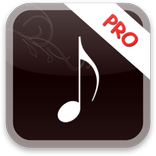 Mp3 Player Pro
