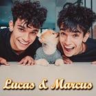 Lucas And Marcus Twins Videos आइकन