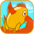 Western Chicken Run