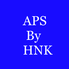 APS Final Accounts (Partnership) icône