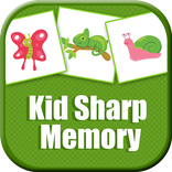 Kid Sharp Memory