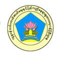 DAN Myanmar