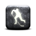 My Hockey Stats