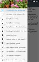 2 Schermata Tuylipflower Eng