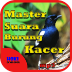 Master Suara Burung Kacer ไอคอน