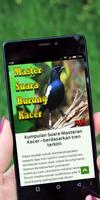 Master Suara Burung Kacer اسکرین شاٹ 1