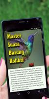 Master Suara Burung Kolibri poster