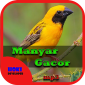 Suara Burung Manyar Gacor For Android Apk Download