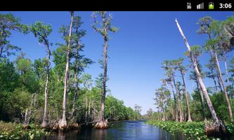 Marshes & Swamps - Wallpapers ảnh chụp màn hình 1