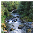 Creeks & Streams - Wallpapers أيقونة