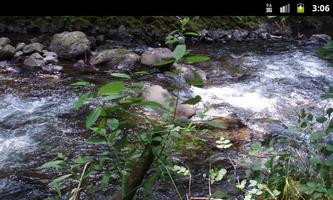 Creeks & Streams - Wallpapers 截圖 1