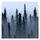 Fog and Mist Landscapes APK