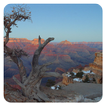Grand Canyon - Live Wallpapers