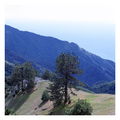 Hill Landscapes - Wallpapers