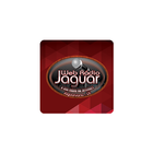 Web Rádio Jaguar icône