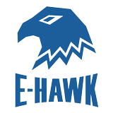 E-Hawk simgesi