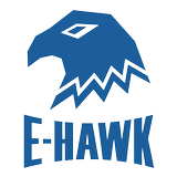 E-Hawk biểu tượng