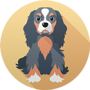 Puppies Wallpapers HD Free-APK