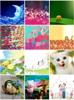 برنامه‌نما Cute Wallpapers عکس از صفحه