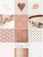 Rose Gold Wallpapers 截圖 3