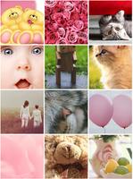 Very Cute Wallpapers Affiche