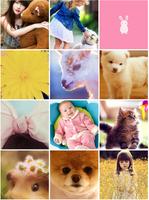 Very Cute Wallpapers syot layar 3