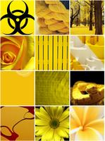 Yellow Wallpapers Affiche