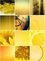 Yellow Wallpapers اسکرین شاٹ 3