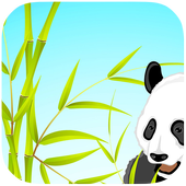 Panda Dream Best Theme icon