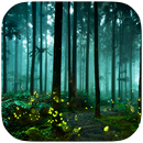 Forest Fireflies Best theme APK