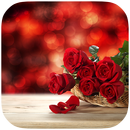 Red Rose and Heart Best Theme APK
