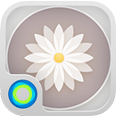 Retro Style Hola Theme APK