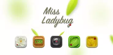 Miss Ladybug Hola Theme