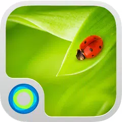 Miss Ladybug Hola Theme APK download