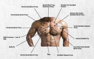 Body Part Workout Affiche