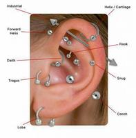 Ear Piercing Ideas ภาพหน้าจอ 2