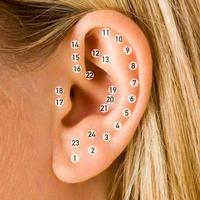 Ear Piercing Ideas ภาพหน้าจอ 3