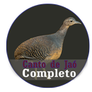 Canto do Pássaro Jaó ou Zabelê aplikacja