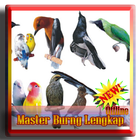 Master Pikat Burung Lengkap Offline simgesi