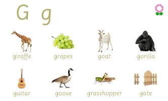 Alphabets Vocabulary Book 截图 2