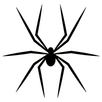 Паук на экране 😁 APK