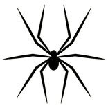 Паук на экране 😁