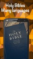 Holy Bible syot layar 1